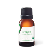 Tarragon Oil
