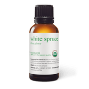 White Spruce Essential Oil - 30ml - Essential Oil Singles - Retired Labels - Aromatics International