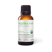 Angelica Root Essential Oil - 30ml - Essential Oil Singles - Retired Labels - Aromatics International