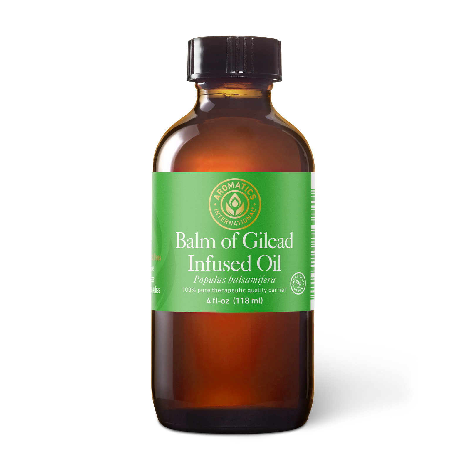 Balm of Gilead Infused Olive Oil - 4fl - oz - Carriers - Aromatics International