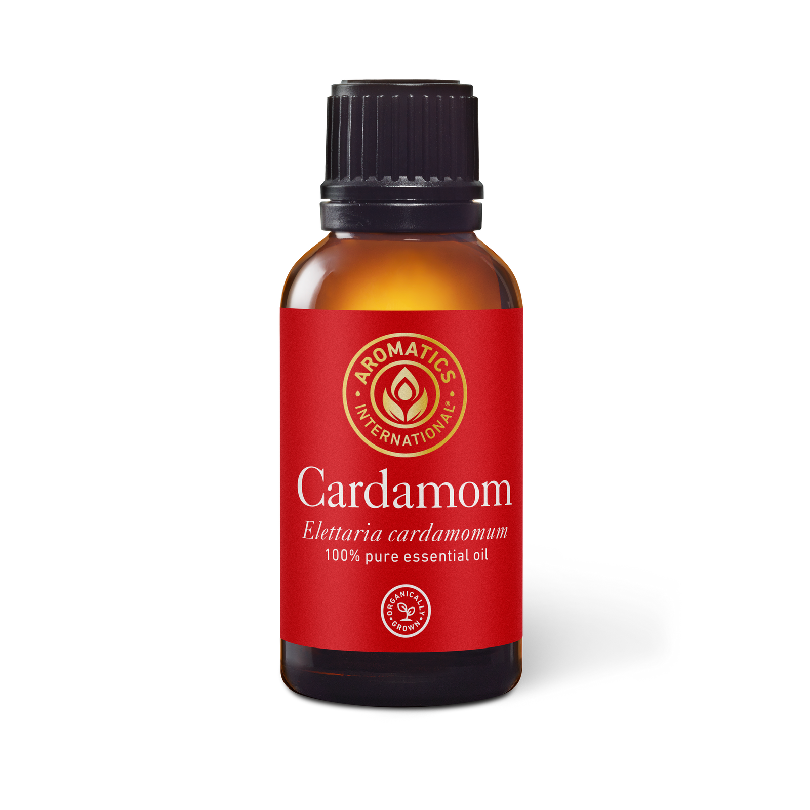 Cardamom Essential Oil - 30ml - Essential Oil Singles - Aromatics International 