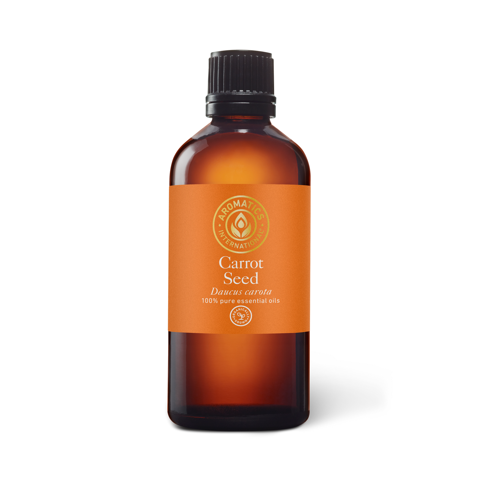 Carrot Seed Essential Oil - 100ml - Essential Oil Singles - Aromatics International