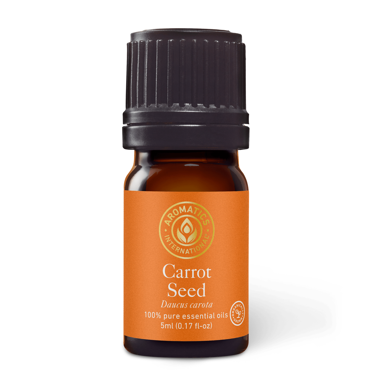 Carrot Seed Essential Oil - 5ml - Essential Oil Singles - Aromatics International