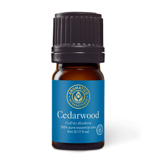 Wildcrafted Cedarwood Indian Essential Oil - Aromatics
