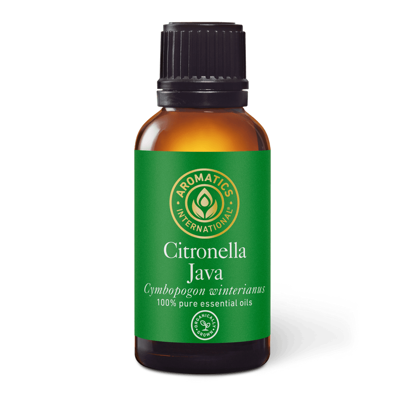 Citronella Java Essential Oil - Aromatics International - 100
