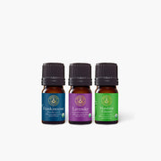 Cold & Flu Season Bundle - DIY Bundles - Aromatics International