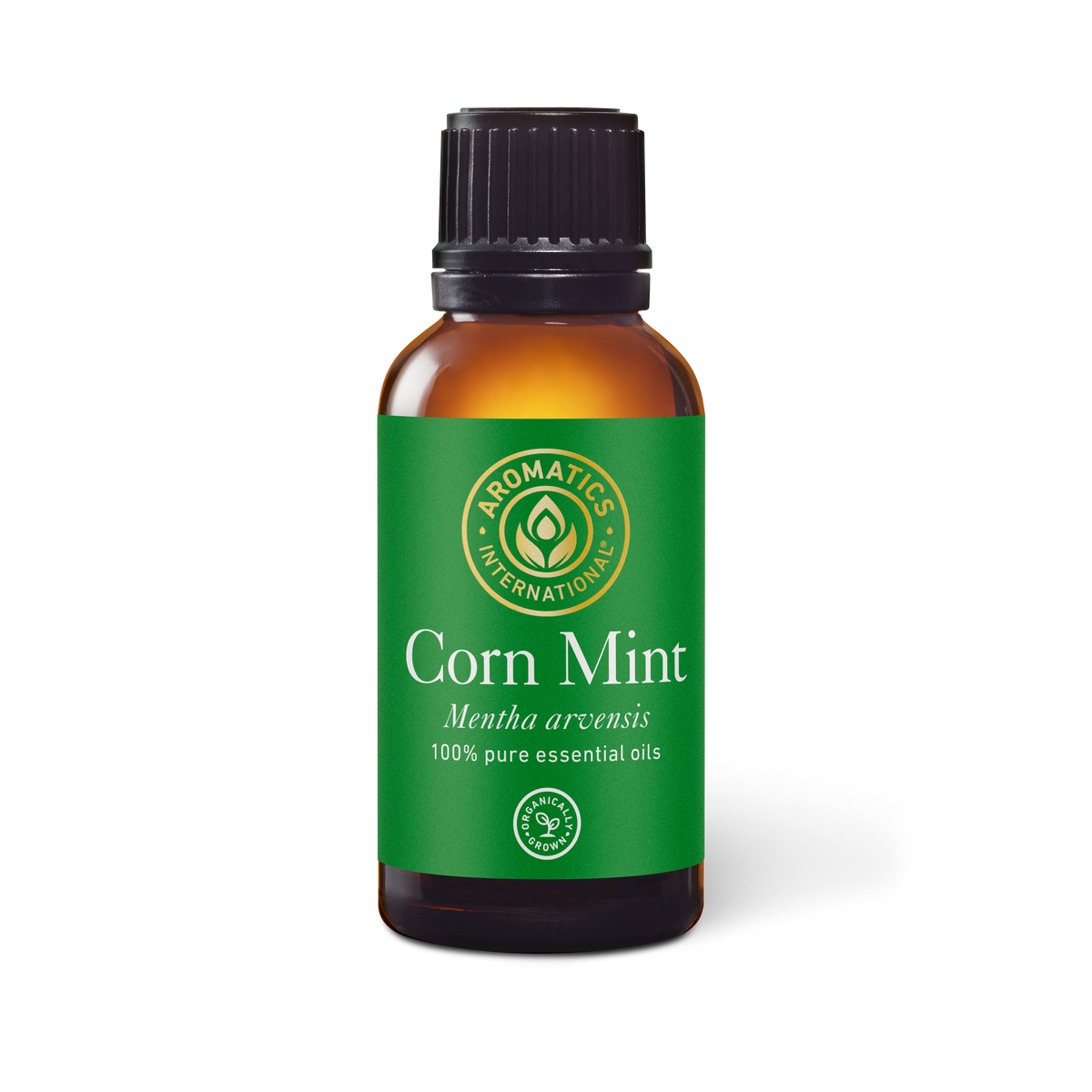 Corn Mint (Wild Mint) Essential Oil - 30ml - Essential Oil Singles - Aromatics International