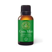 Corn Mint (Wild Mint) Essential Oil - 30ml - Essential Oil Singles - Aromatics International