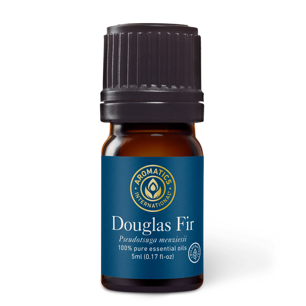 Douglas Fir Essential Oil - 5ml - Essential Oil Singles - Aromatics International