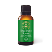Engelmann Spruce Essential Oil - 30ml - Essential Oil Singles - Aromatics International
