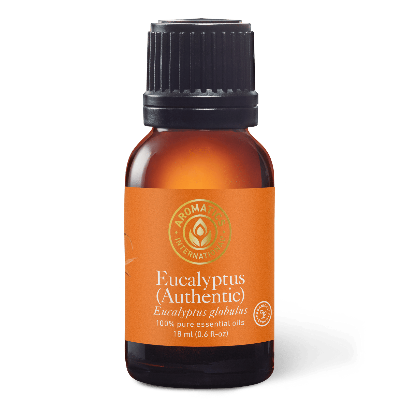 Eucalyptus Globulus Essential Oil - 15ml - Essential Oil Singles - Aromatics International
