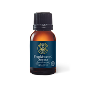 Frankincense Serrata Essential Oil - 18ml - Essential Oil Singles - Aromatics International