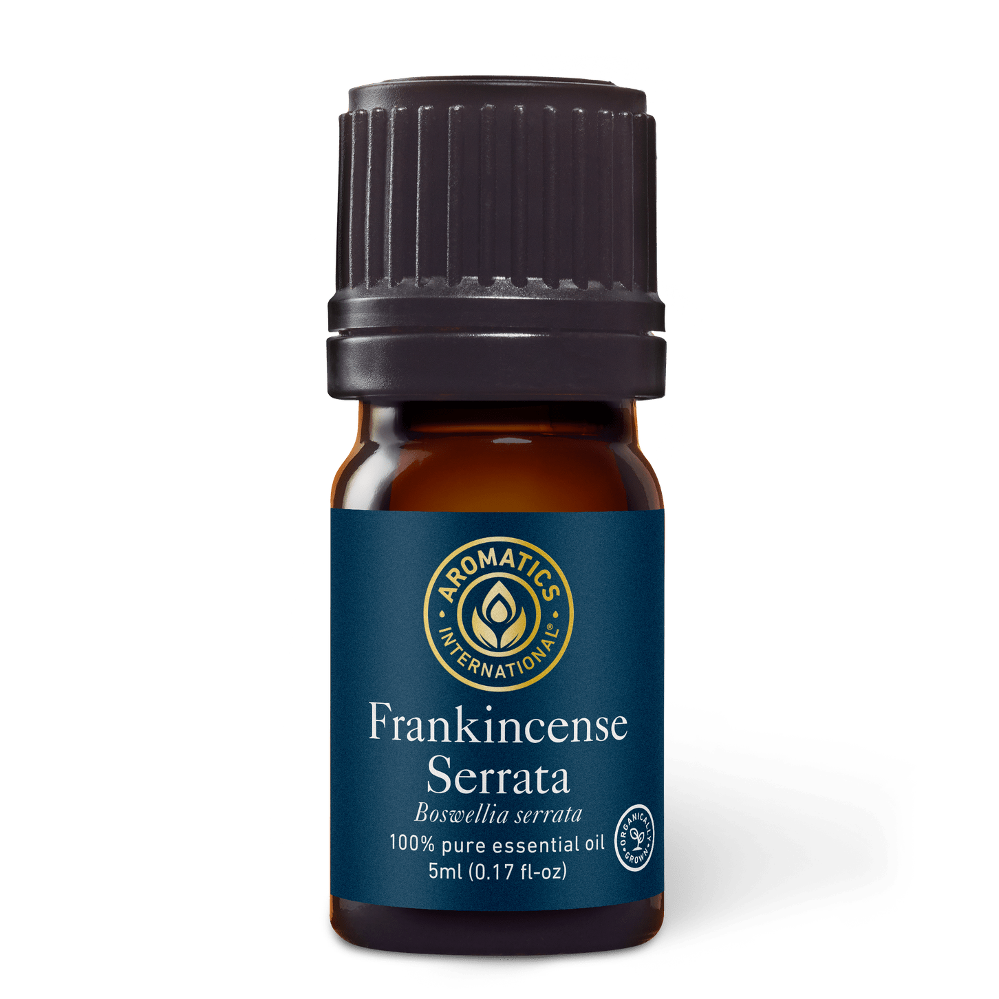 Frankincense Serrata Essential Oil - 5ml - Essential Oil Singles - Aromatics International