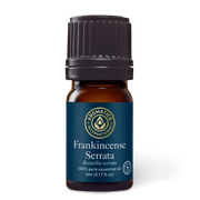 Frankincense Serrata Essential Oil - 5ml - Essential Oil Singles - Aromatics International