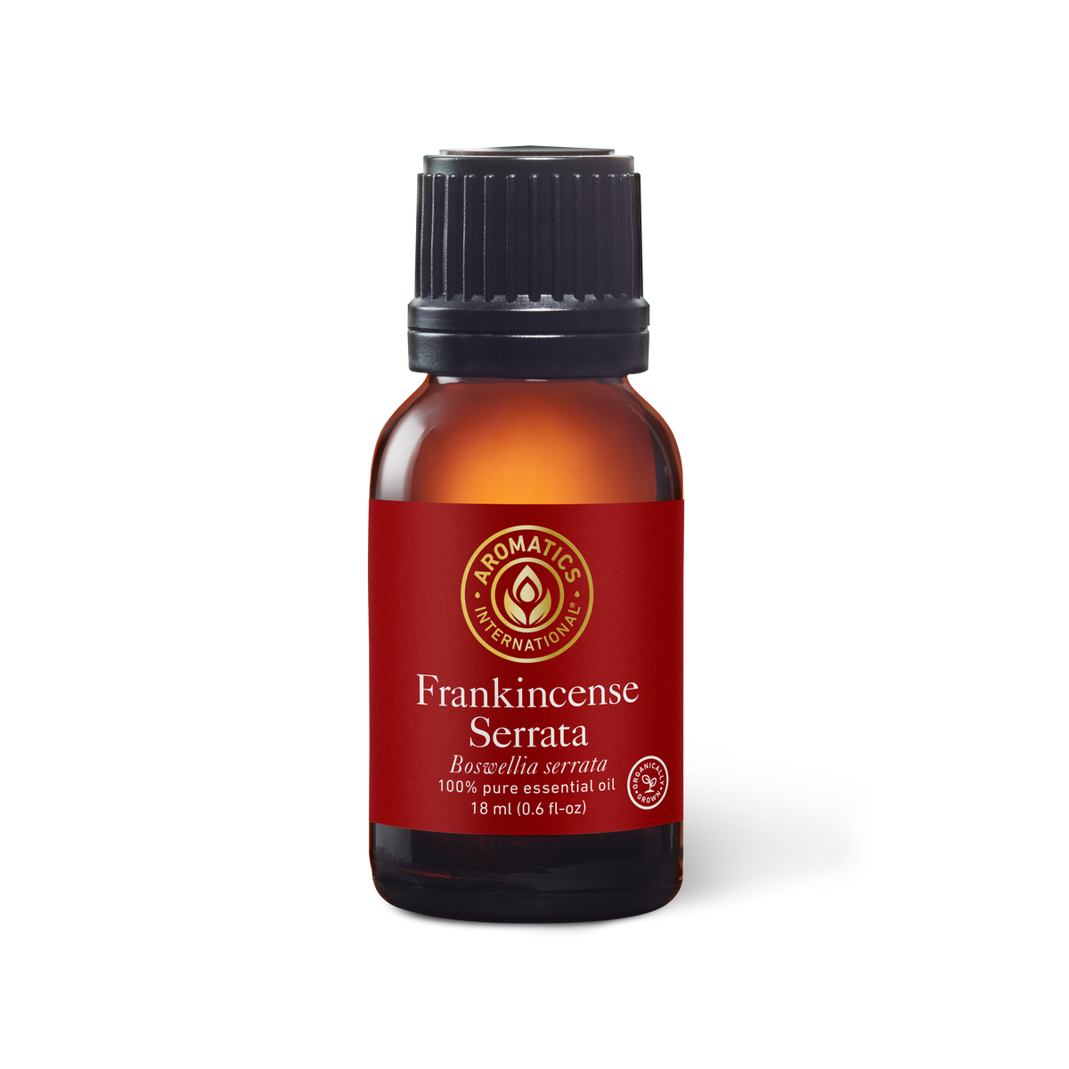Frankincense Serrata Essential Oil - 18ml - Essential Oil Singles - Aromatics International