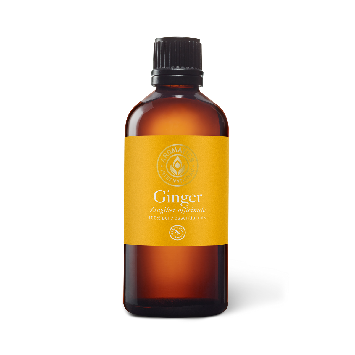 Ginger Essential Oil - 100ml - Essential Oil Singles - Aromatics International