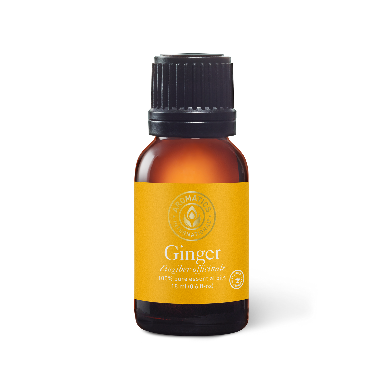 Ginger Essential Oil - 18ml - Essential Oil Singles - Aromatics International