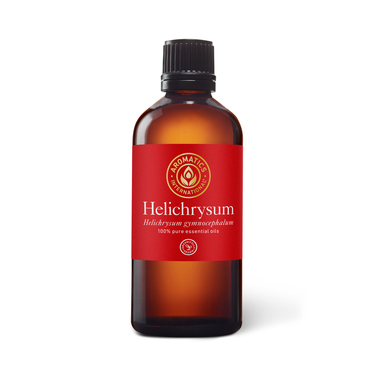 Helichrysum Gymnocephalum Essential Oil - 100ml - Essential Oil Singles - Aromatics International