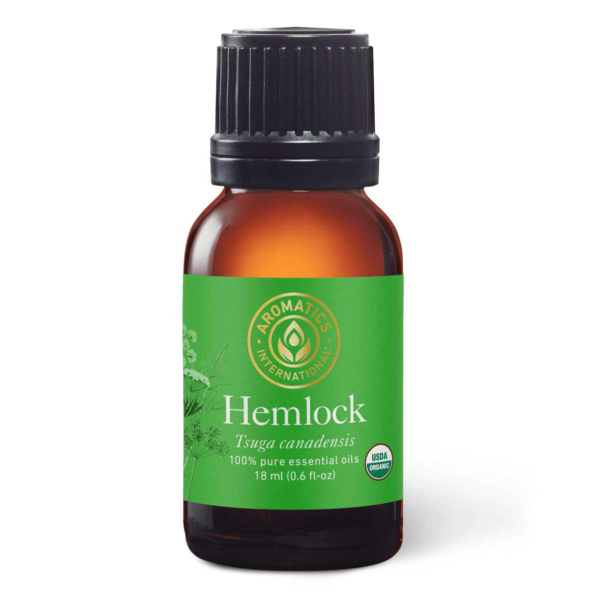 Hemlock Essential Oil - 15ml - Essential Oil Singles - Aromatics International