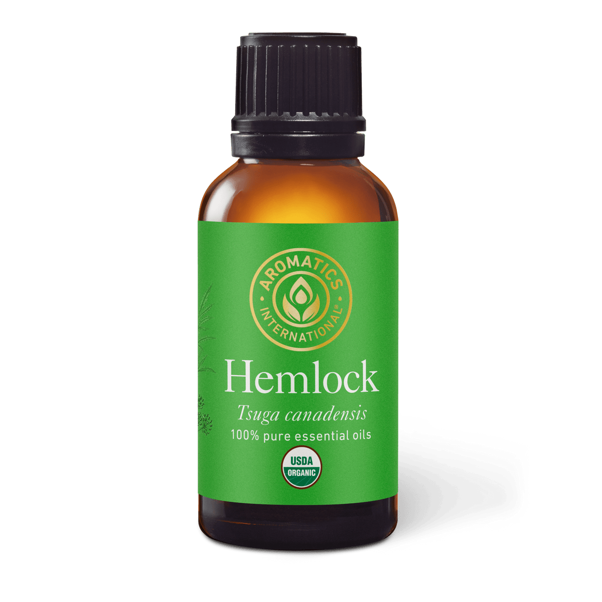 Hemlock Essential Oil - 30ml - Essential Oil Singles - Aromatics International