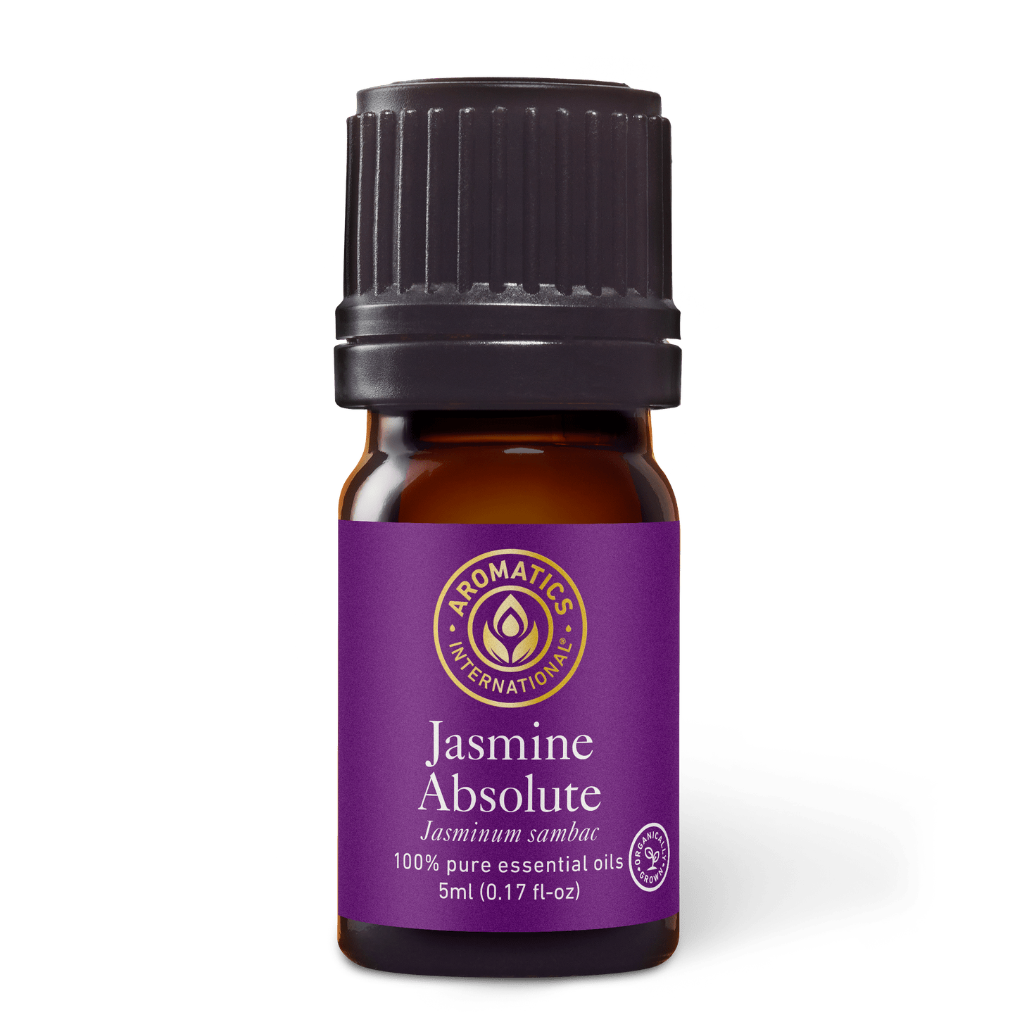 Jasmine Absolute (Sambac) Essential Oil - 5ml - Essential Oil Singles - Aromatics International