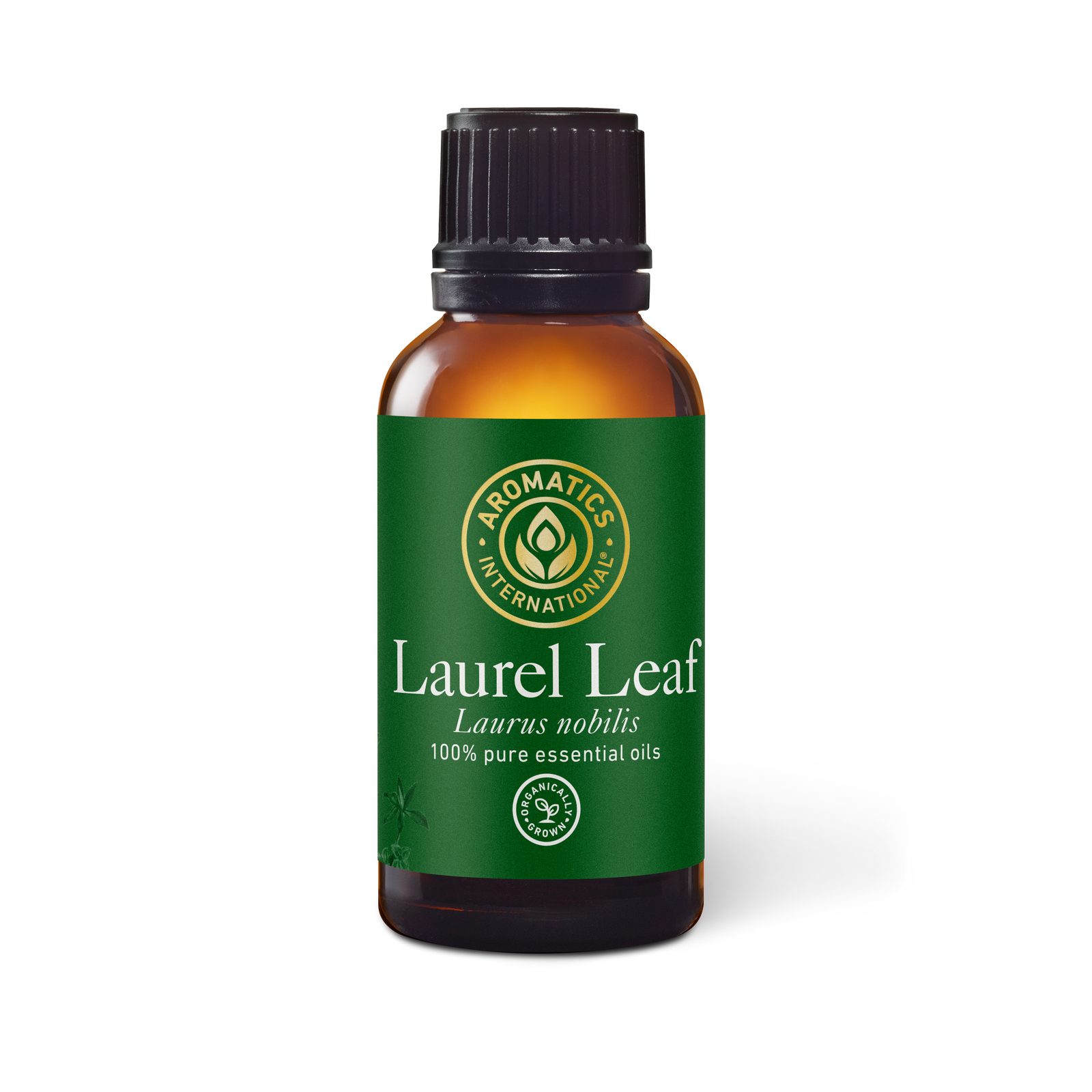 Laurel Leaf Essential Oil - 30ml - Essential Oil Singles - Aromatics International