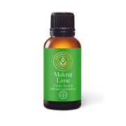 Makrut Lime Peel Essential Oil - 30ml - Essential Oil Singles - Aromatics International
