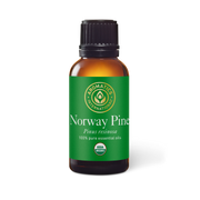 Norway Pine Essential Oil - 30ml - Essential Oil Singles - Aromatics International