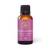 Rhododendron Essential Oil - 30ml - Essential Oil Singles - Aromatics International