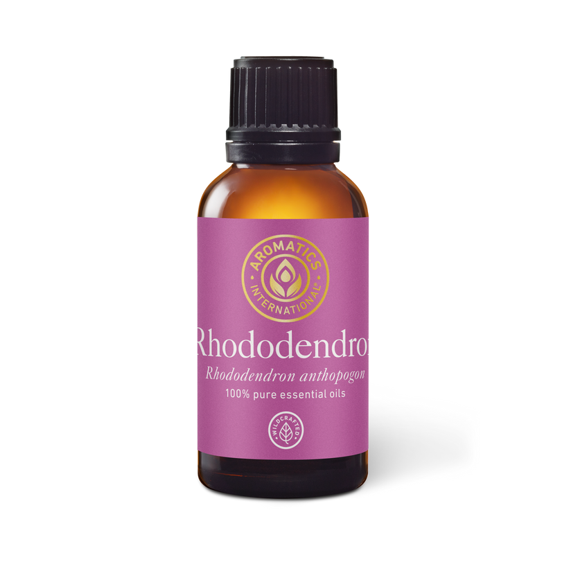 rhododendron spritzmittel Wildcrafted Rhododendron Essential Oil - Aromatics International