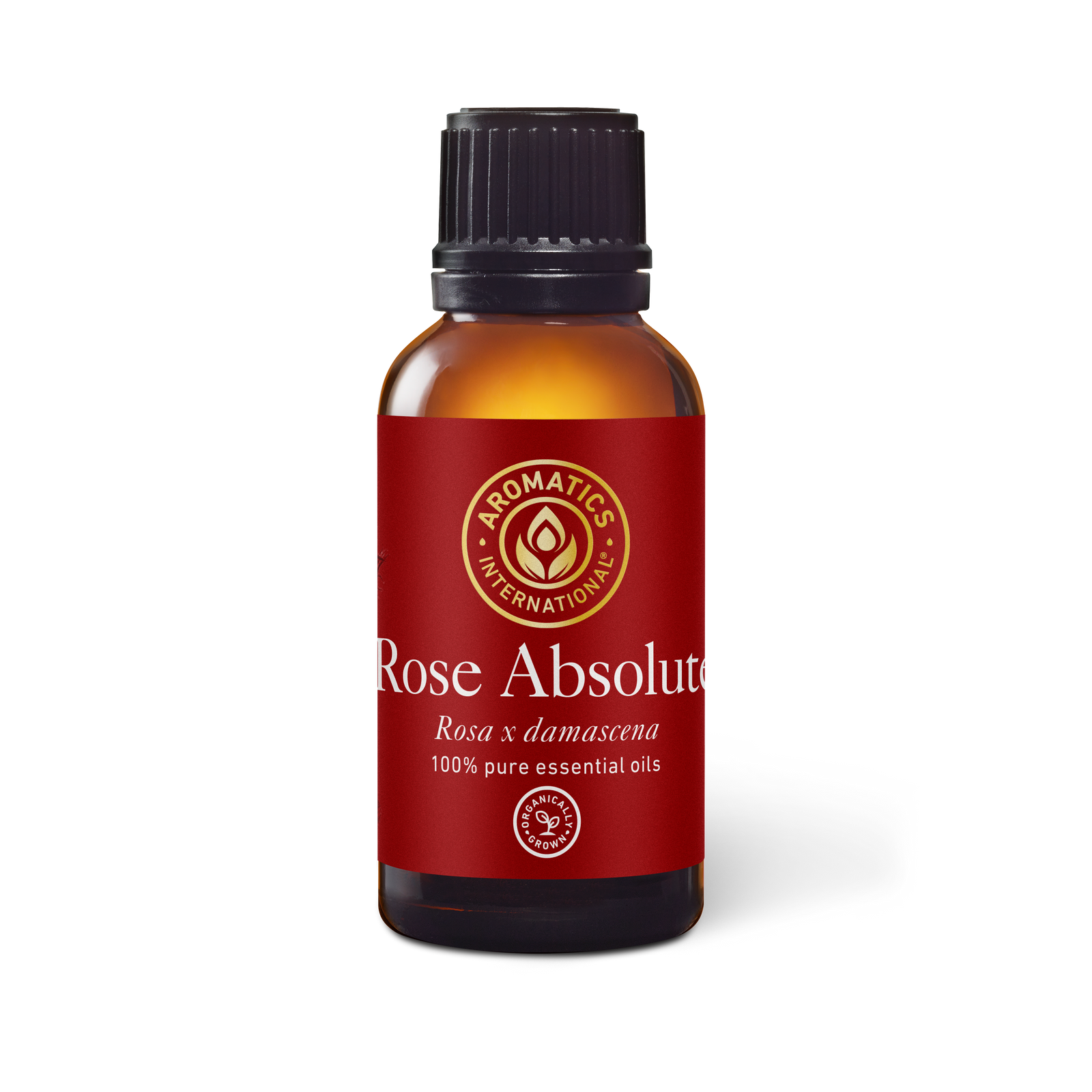 Rose Absolute Essential Oil - 30ml - Essential Oil Singles - Aromatics International