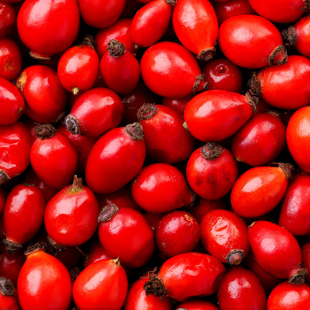 rose hip seed USDA Organic Rosehip Seed Oil - Aromatics International