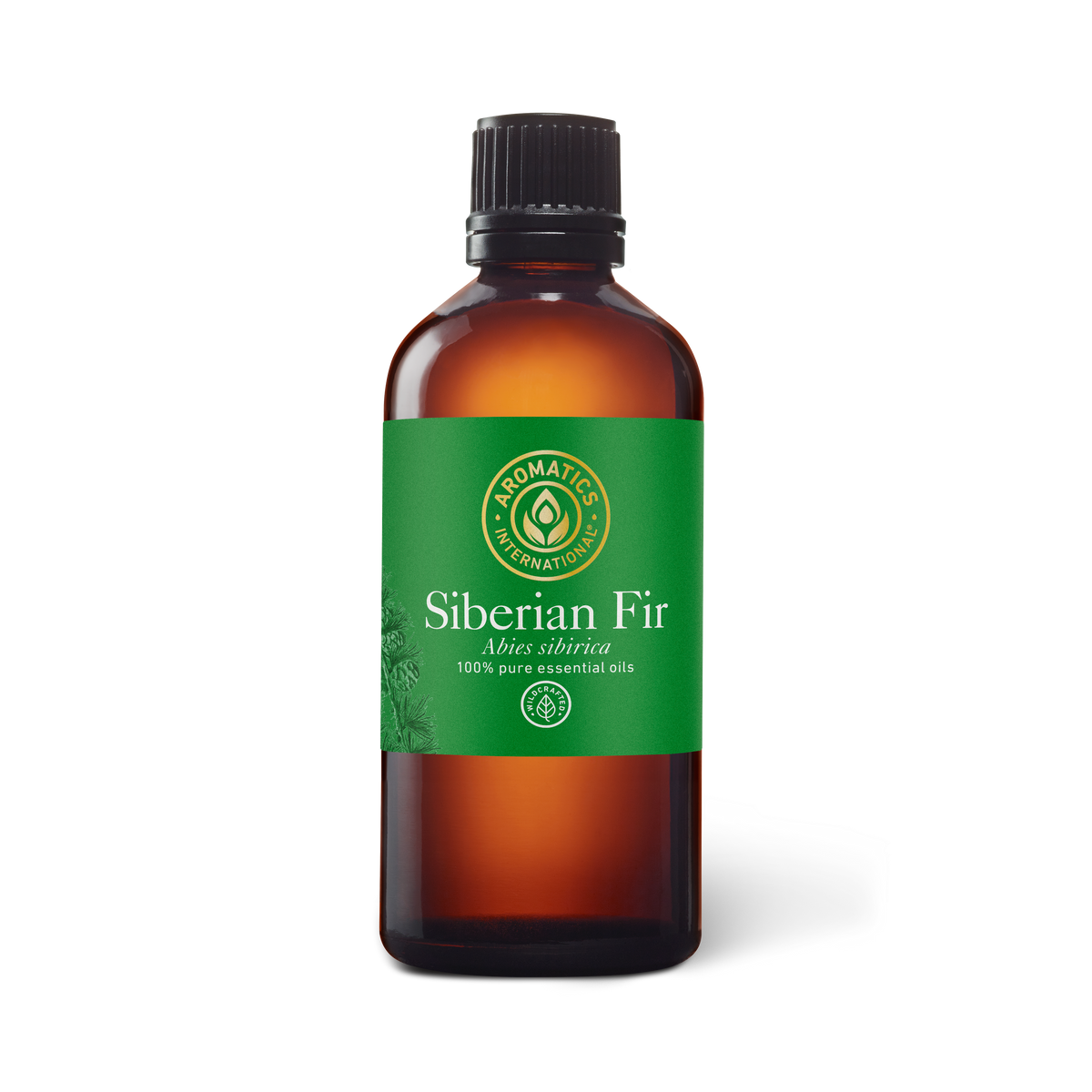 Siberian Fir Essential Oil - 100ml - Essential Oil Singles - Aromatics International
