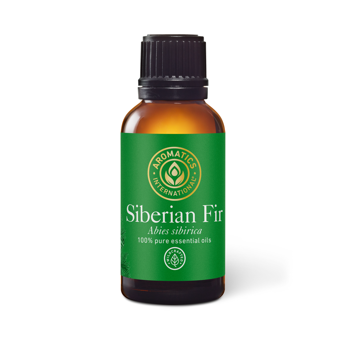 Siberian Fir Essential Oil - 30ml - Essential Oil Singles - Aromatics International