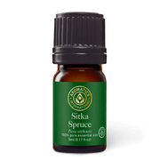 Sitka Spruce Essential Oil - 5ml - Essential Oil Singles - Aromatics International