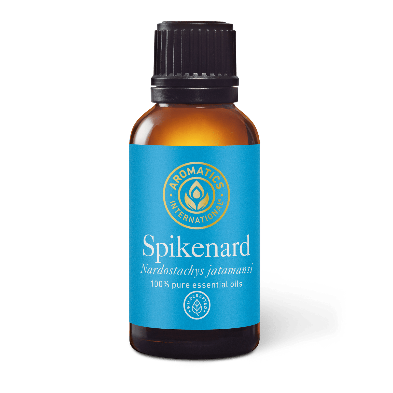 Spikenard Essential Oil - 30ml - Essential Oil Singles - Aromatics International