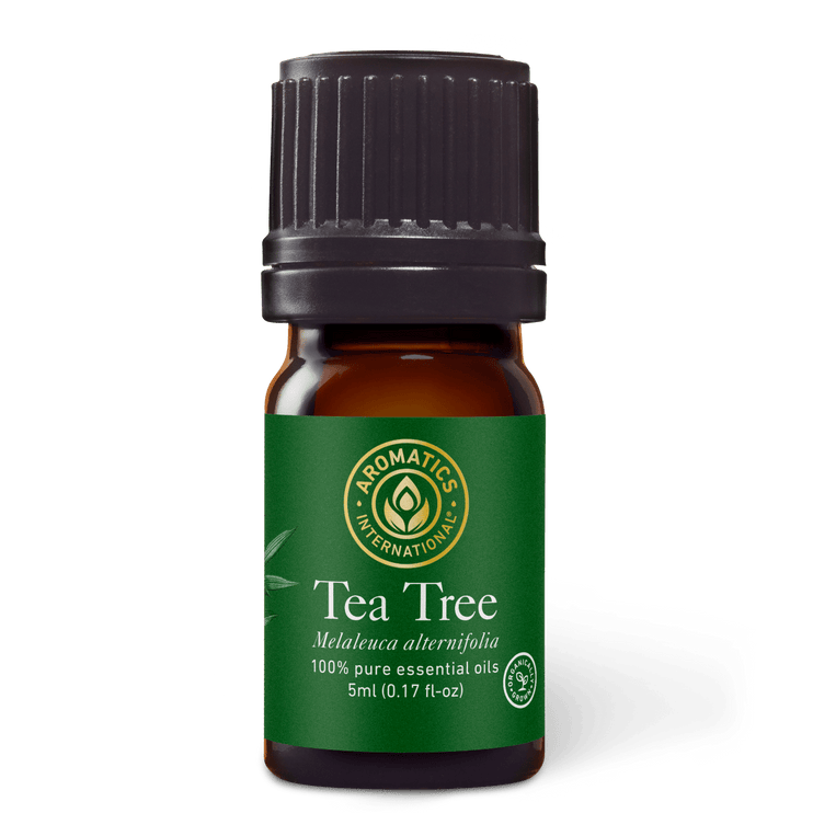 Organically Produced Tea Tree Essential Oil - Aromatics International -  100% Pure & GCMS Tested