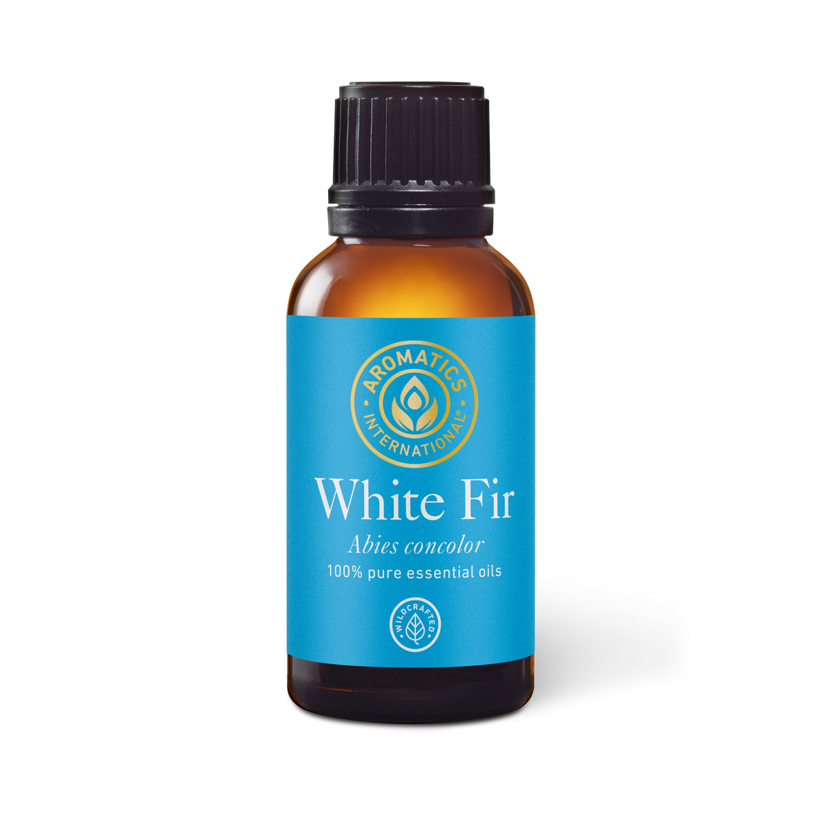 White Fir Essential Oil - 30ml - Essential Oil Singles - Aromatics International