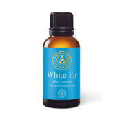 White Fir Essential Oil - 30ml - Essential Oil Singles - Aromatics International