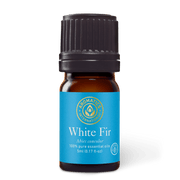White Fir Essential Oil - 5ml - Essential Oil Singles - Aromatics International
