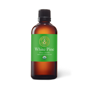 White Pine Essential Oil - 100ml - Essential Oil Singles - Aromatics International