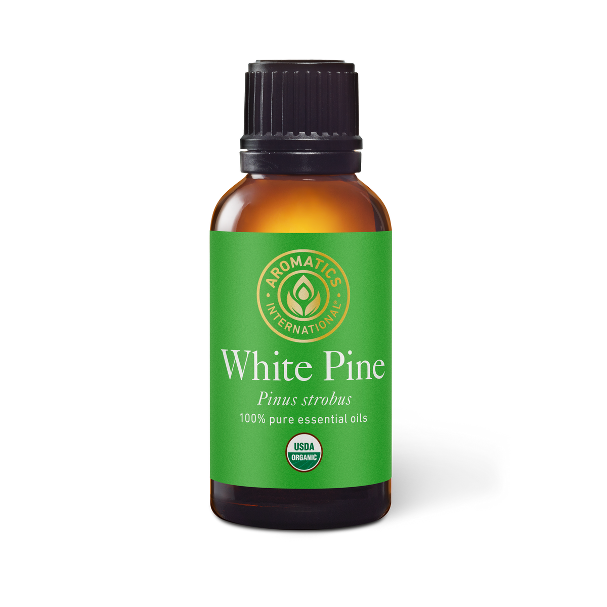 White Pine Essential Oil - 30ml - Essential Oil Singles - Aromatics International