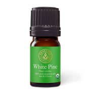 White Pine Essential Oil - 5ml - Essential Oil Singles - Aromatics International