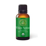 White Spruce Essential Oil - 30ml - Essential Oil Singles - Aromatics International