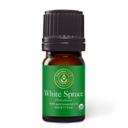 White Spruce Essential Oil - 5ml - Essential Oil Singles - Aromatics International
