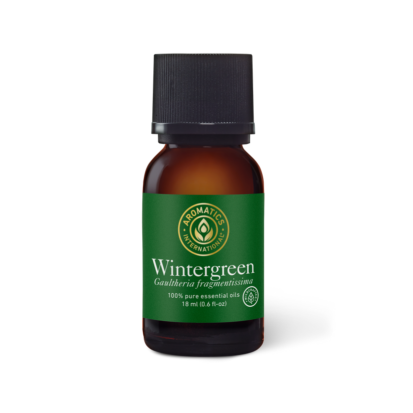 Wildcrafted Wintergreen Essential Oil - Aromatics International