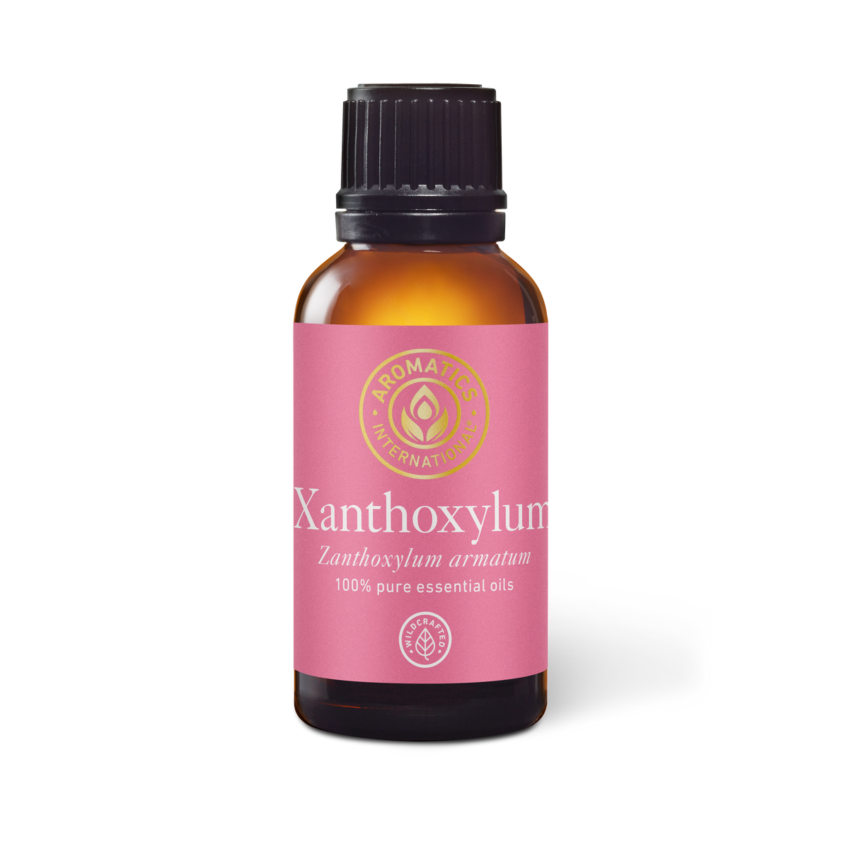 Xanthoxylum Essential Oil - 30ml - Essential Oil Singles - Aromatics International
